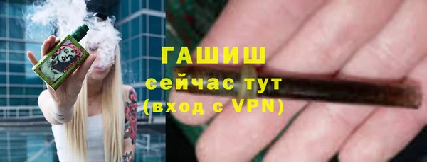 сатива Армянск