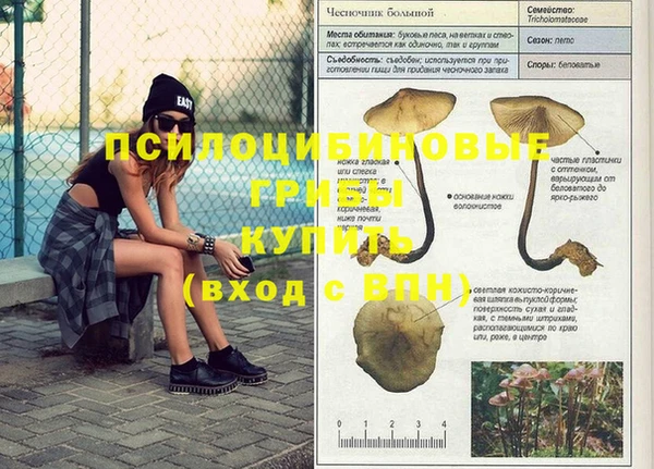 круглые Аркадак