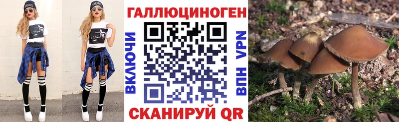 Псилоцибиновые грибы ЛСД  Абаза 